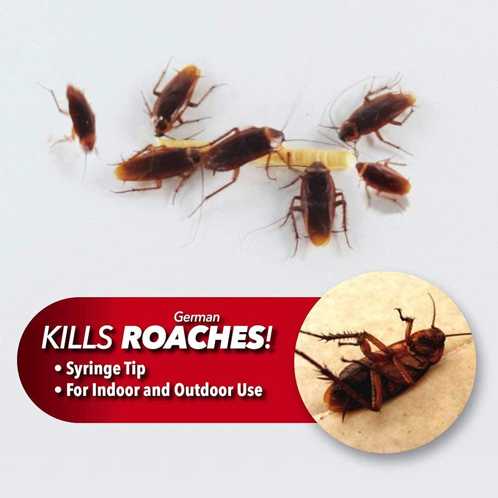 ROACH EXPERT 30g Syringe