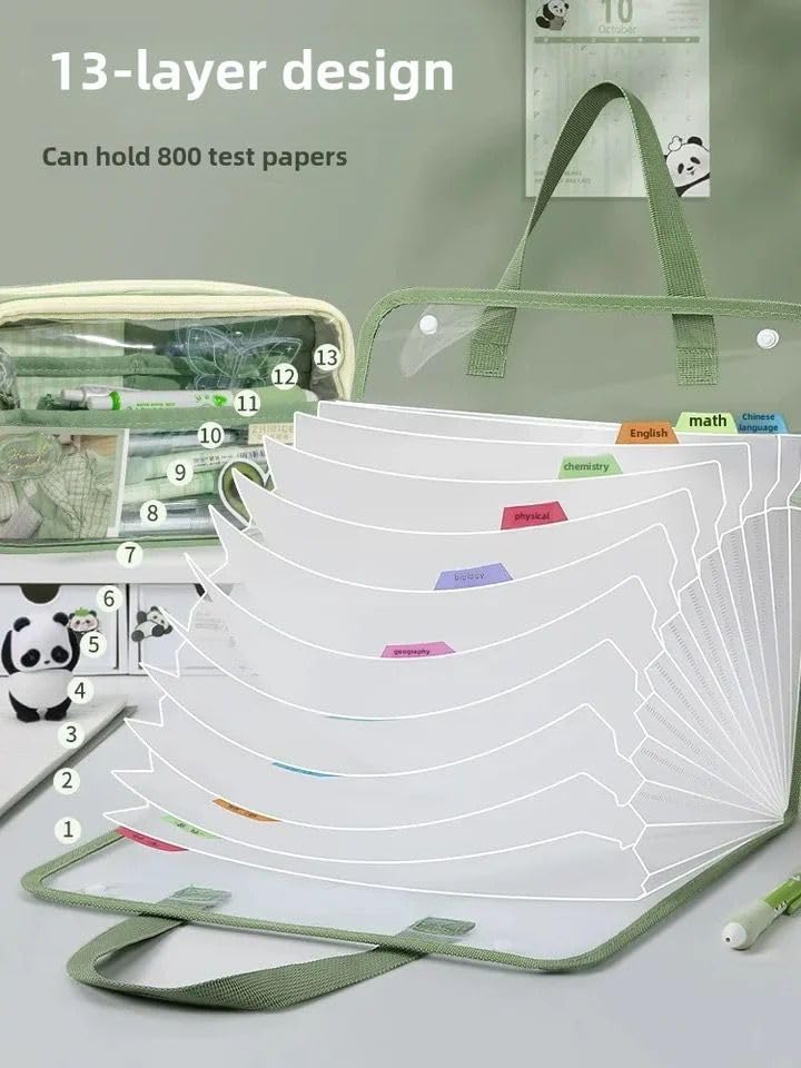 Transparent 13 Pocket A4 Carry Bag