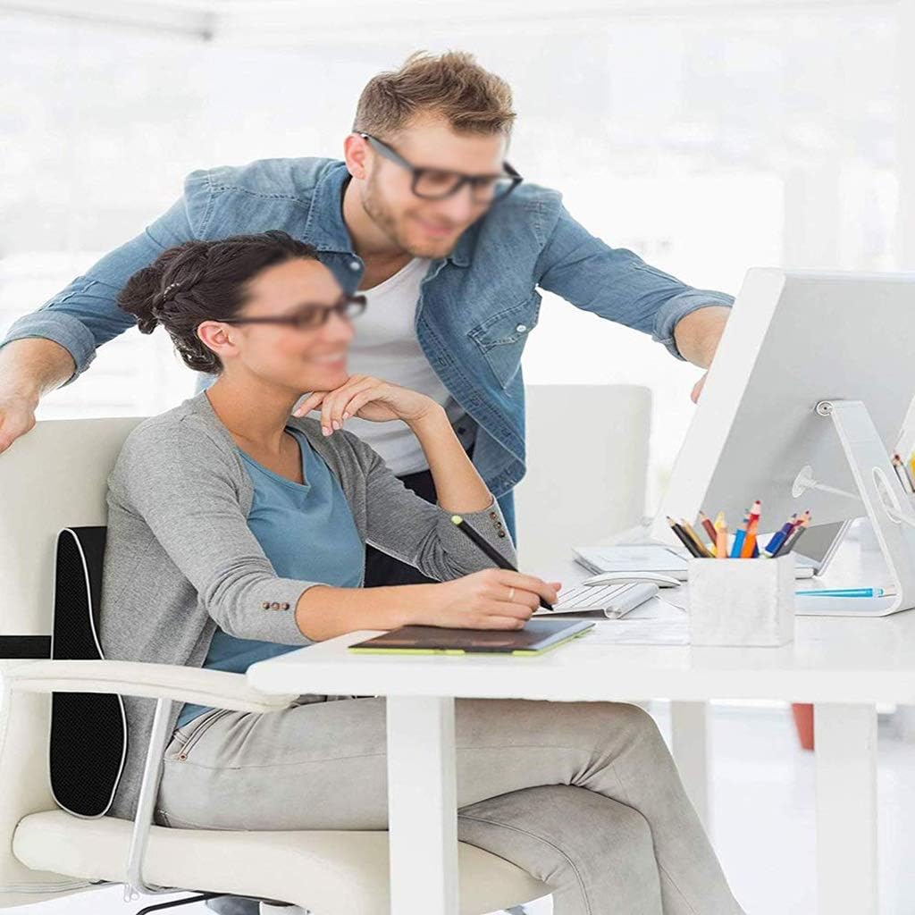 ErgoComfort Lumbar Support Pillow