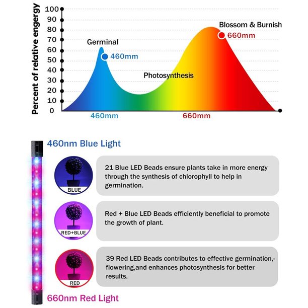 3-Head Grow Light for Indoor Plants