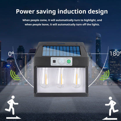 Solar Wall Light