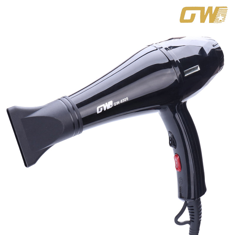 3000W Hair Dryer