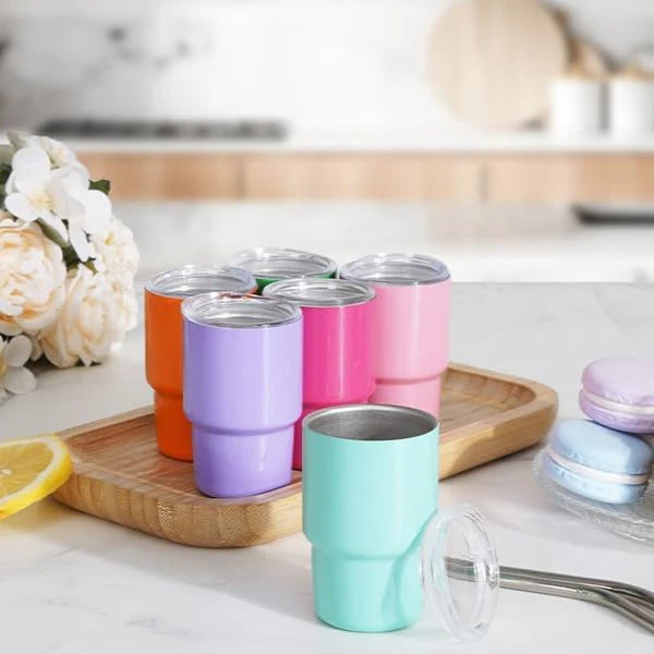 Mini Stainless Steel Tumbler Set - 6pc