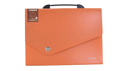 13-Pocket Expanding Organizer File Folder with Handle