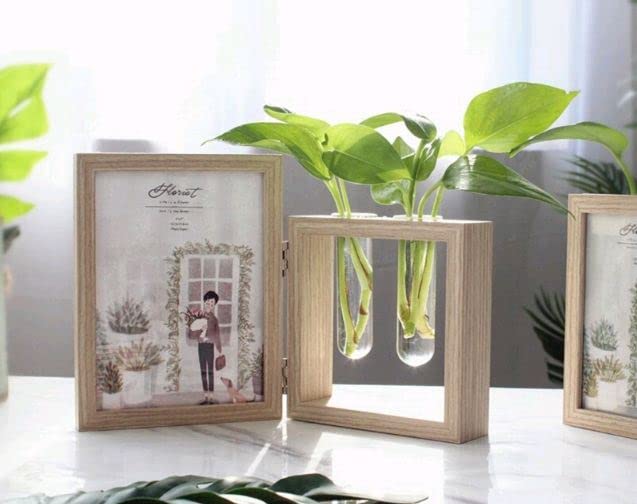 Picture Frame and Plant Vase Combo