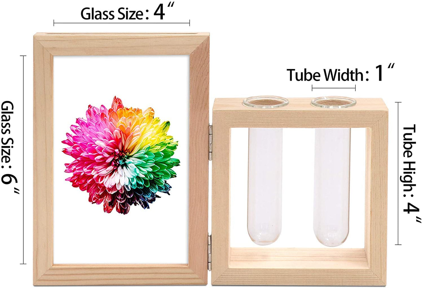 Picture Frame and Plant Vase Combo