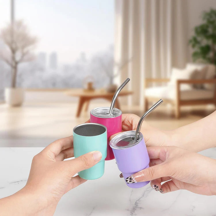 Mini Stainless Steel Tumbler Set - 6pc