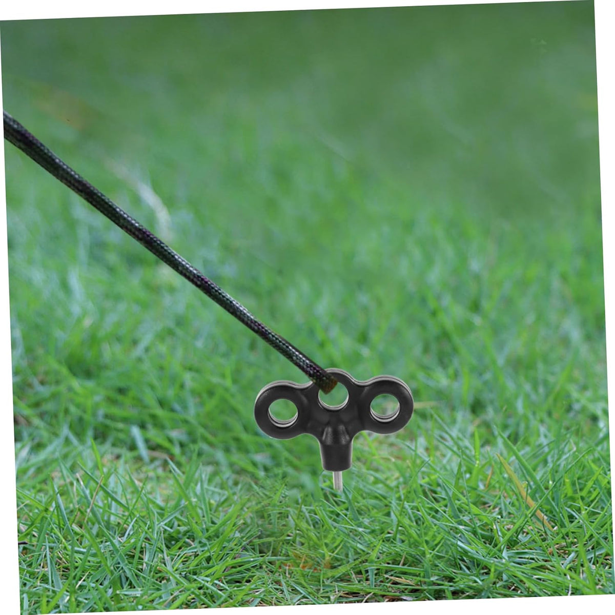 Stainless Steel Camping Stakes