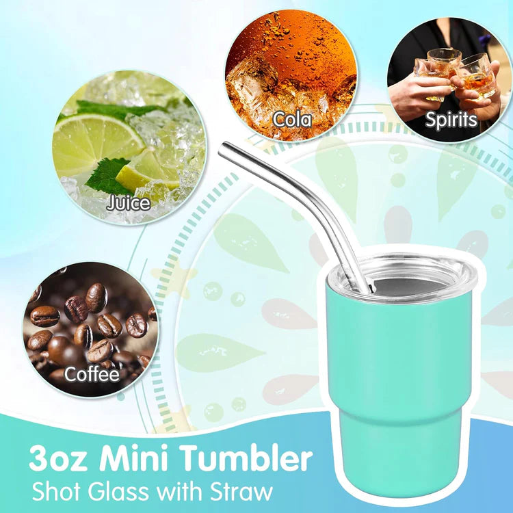 Mini Stainless Steel Tumbler Set - 6pc