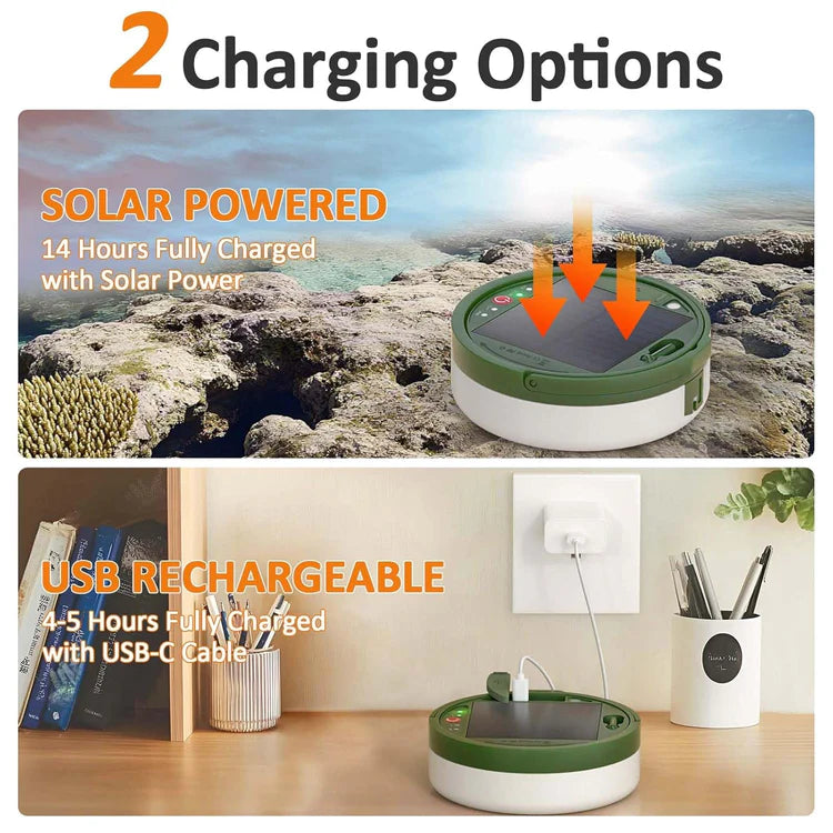 Solar Camping String Light and Down Light -10m