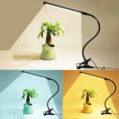 Color Temperature Changeable Led Clip on Light