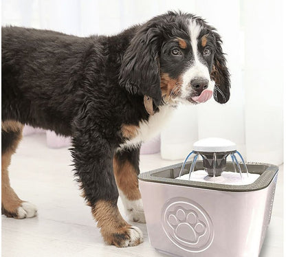 Water Fountain For Pets -2.5l