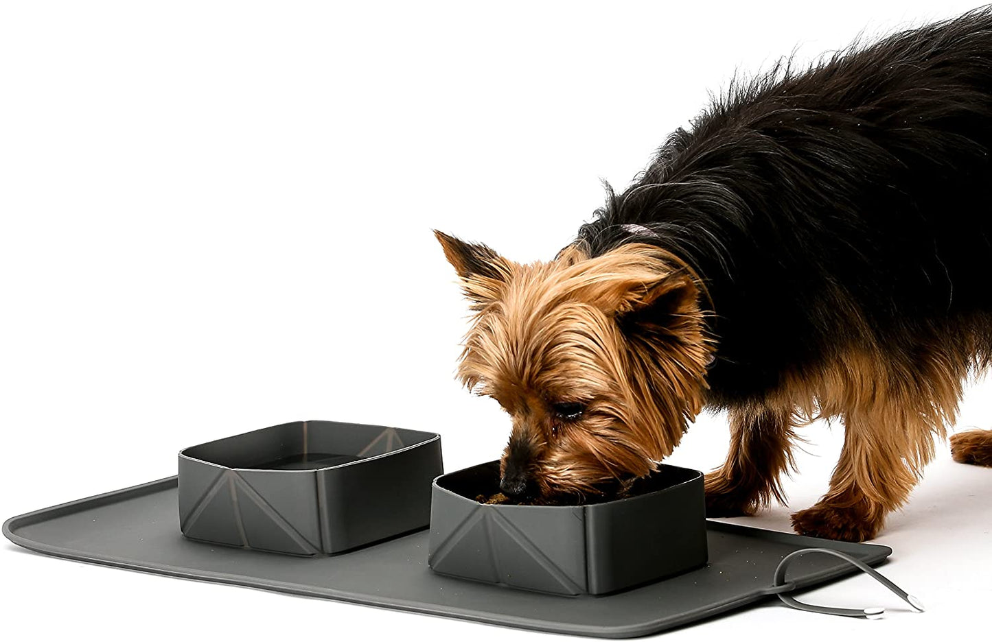 RollaBowl - Travel Pet Bowls