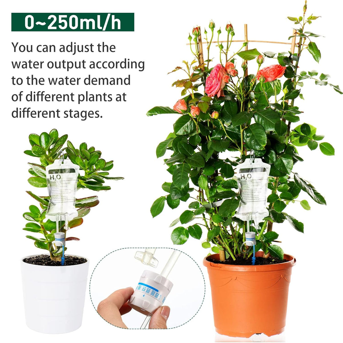 Leaf Lifeline IV Bag Dr[p Irrigation