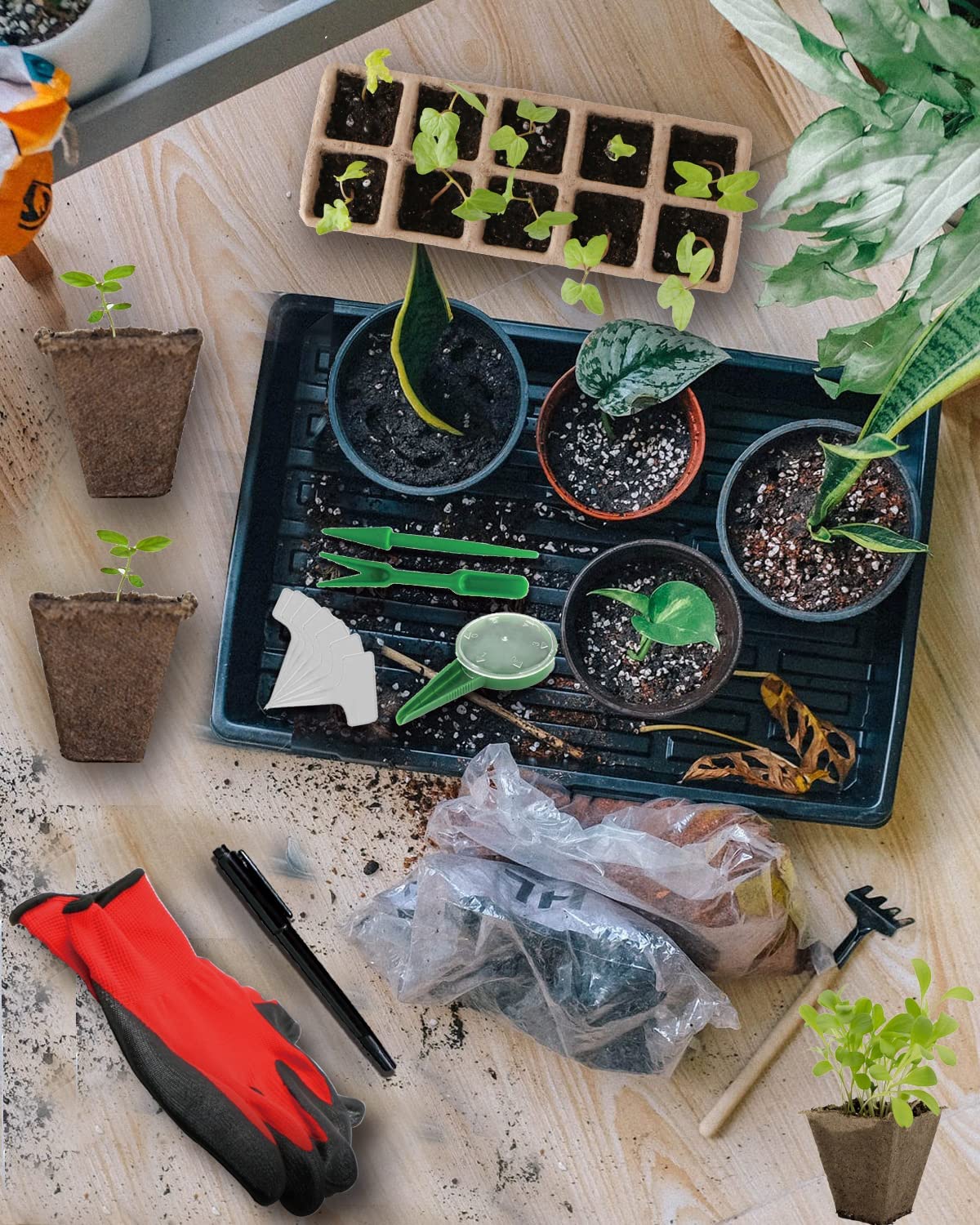 Seed Starter Tray Kit