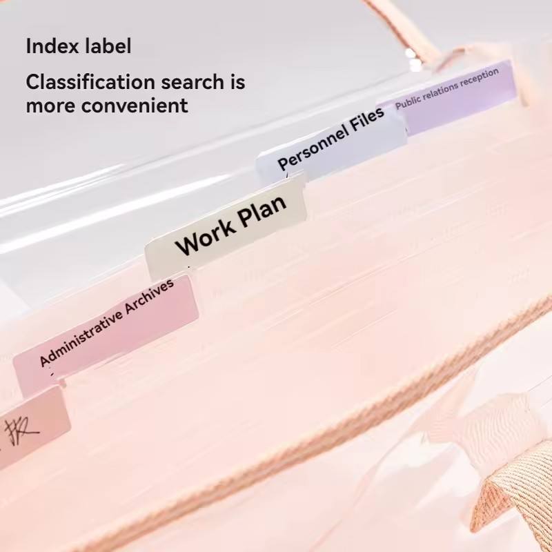 Transparent 13 Pocket A4 Carry Case