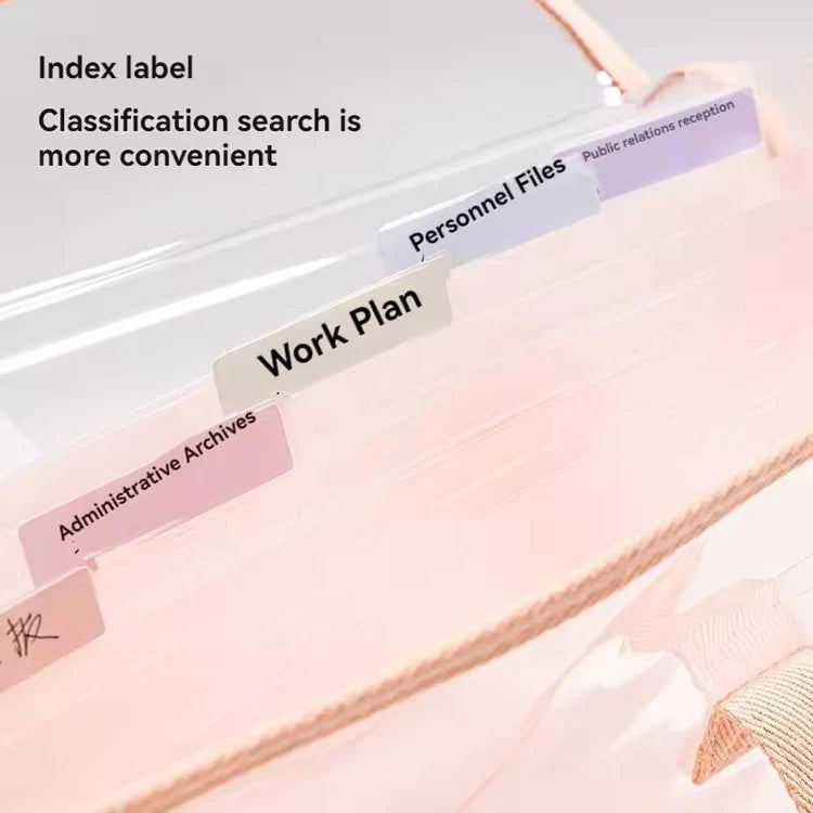 Transparent 13 Pocket A4 Carry Case