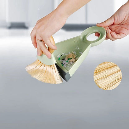 Household Cleaning Dustpan