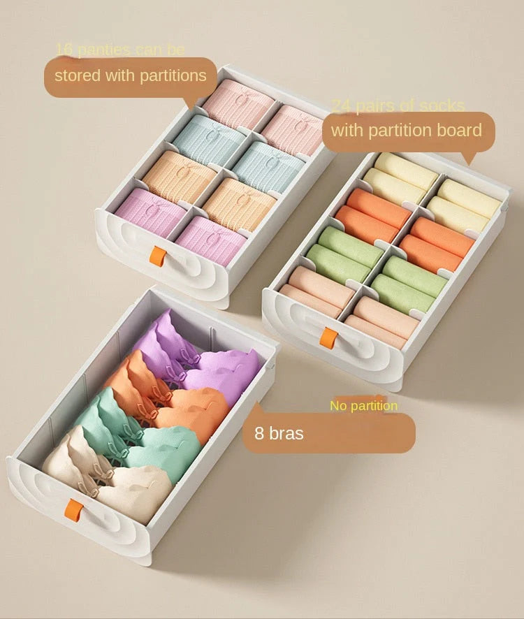 Pull Out Storage Organizer