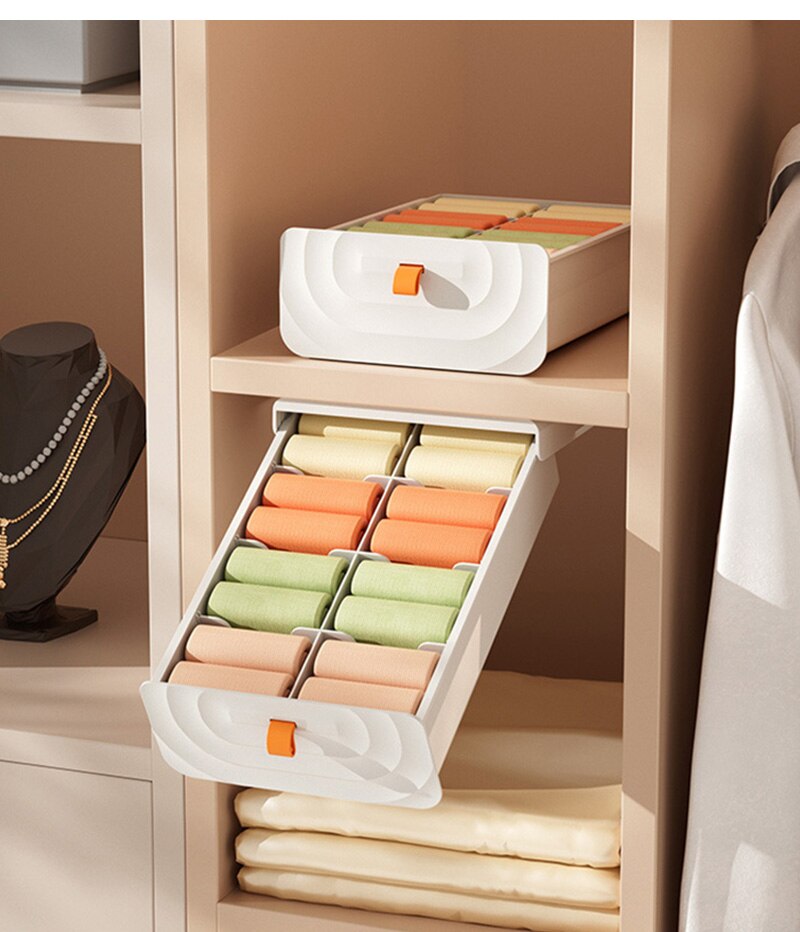 Pull Out Storage Organizer