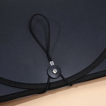 Clear View A4 Expanding File Organizer