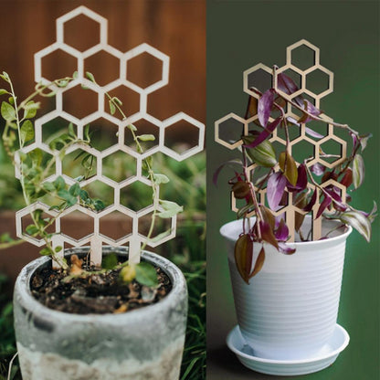 3 Pack Plant Support Rack Honeycomb Shape