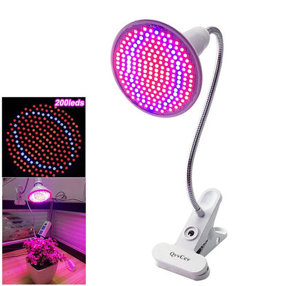 Anti Ageing Red Blue Led Light