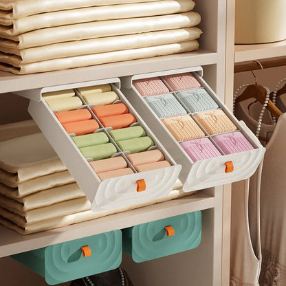 Pull Out Storage Organizer