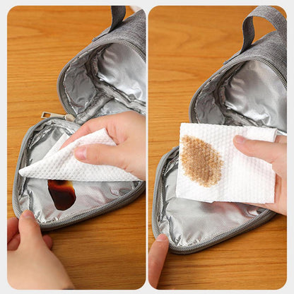 Insulated Triangular Thermal Lunch Bag