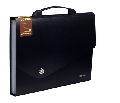 13-Pocket Expanding Organizer File Folder with Handle