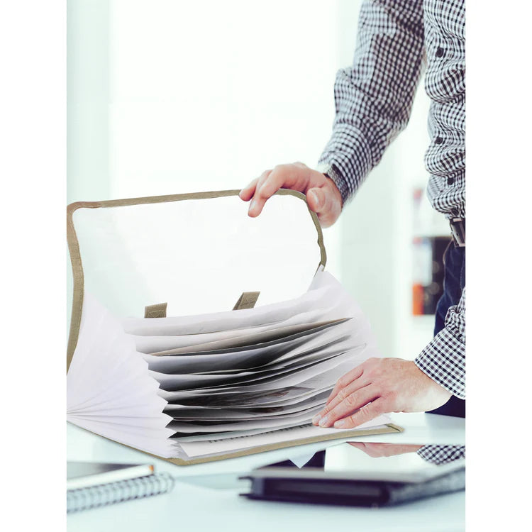 Transparent 13 Pocket A4 Carry Case