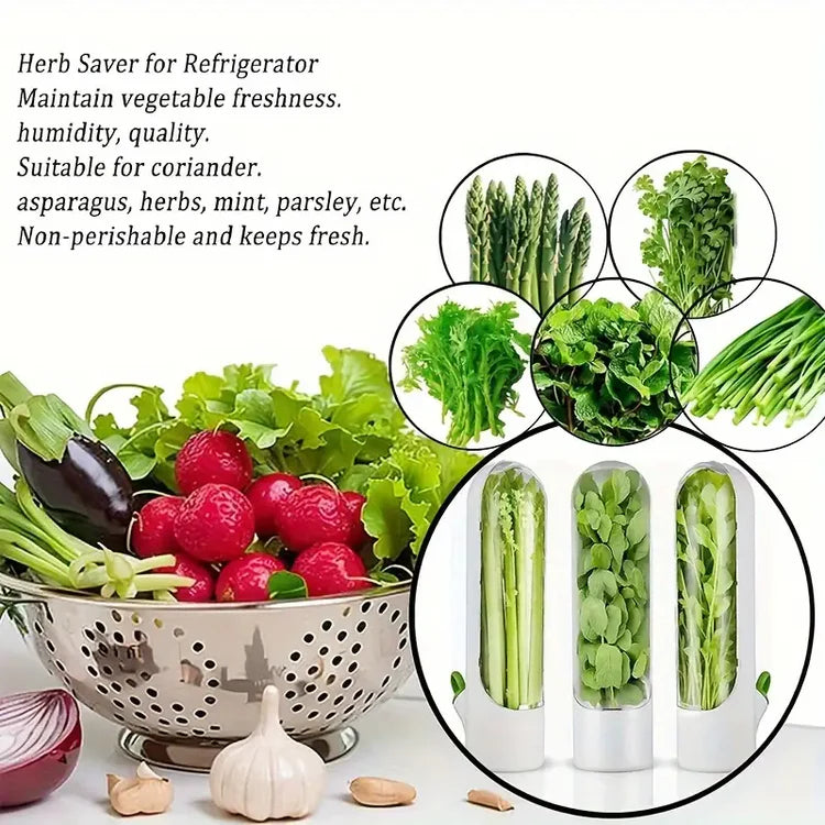 Herb Saver - Medium