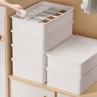 Underwear  Sock Storage Organizer – Drawer Box (Sold Separately, 2 Variants)