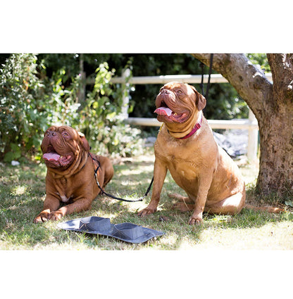 RollaBowl - Travel Pet Bowls