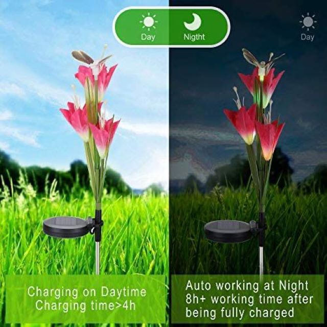 Pack of 2 Solar Flower Garden Lights