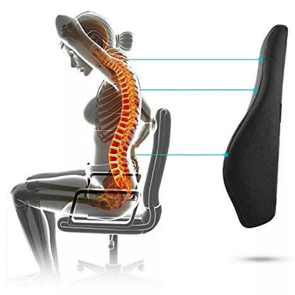ErgoComfort Lumbar Support Pillow